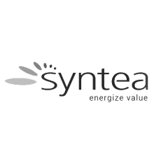 logosyntea