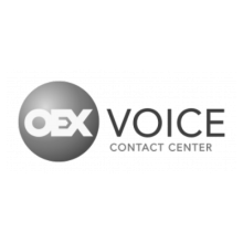 logovoiceBW